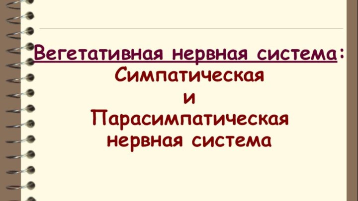 Вегетативная нервная система: Симпатическая  и  Парасимпатическая  нервная система