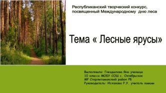 Презентация по биологии Лесные ярусы