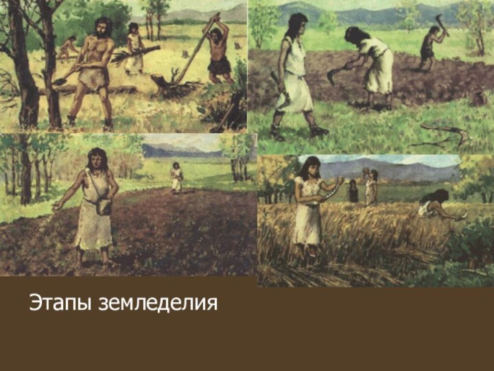 История возникновение земледелия. Первобытное общество Неолит земледелие. Древние люди земледелие. Земледелие и скотоводство. Земледелие древними людьми.