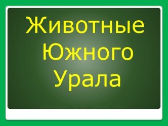 Презентация Животные Южного Урала