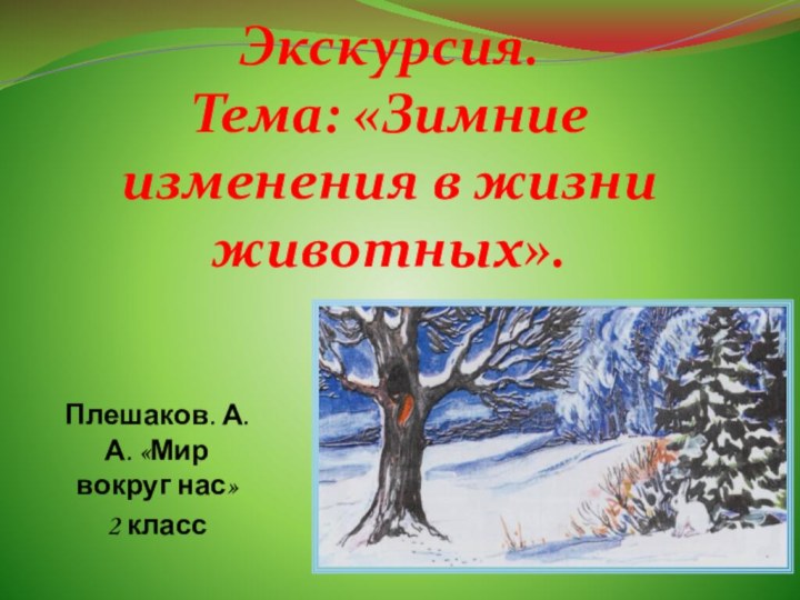 Экскурсия. Тема: «Зимние изменения в жизни животных».Плешаков. А. А. «Мир вокруг нас»2 класс