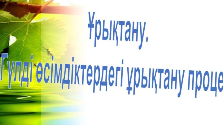 Ұрықтану. Гүлді өсімдіктердегі ұрықтану процесі