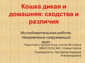 Исследовательская работа в форме презентации Кошка дикая и домашняя