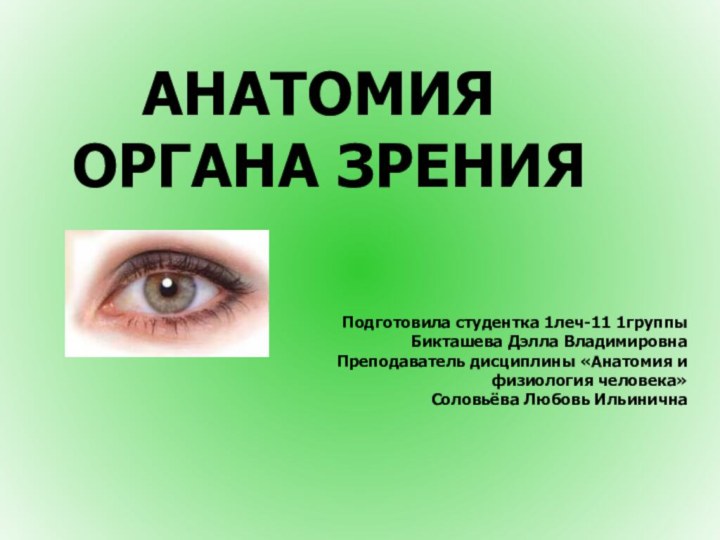 АНАТОМИЯ ОРГАНА ЗРЕНИЯПодготовила студентка 1леч-11 1группы  Бикташева Дэлла ВладимировнаПреподаватель