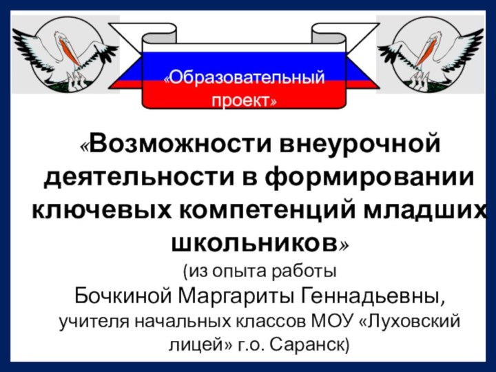 «Возможности внеурочной деятельности в формировании ключевых компетенций младших школьников»(из опыта работы Бочкиной