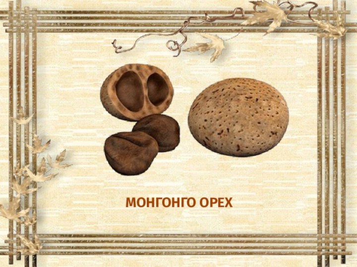 МОНГОНГО ОРЕХ