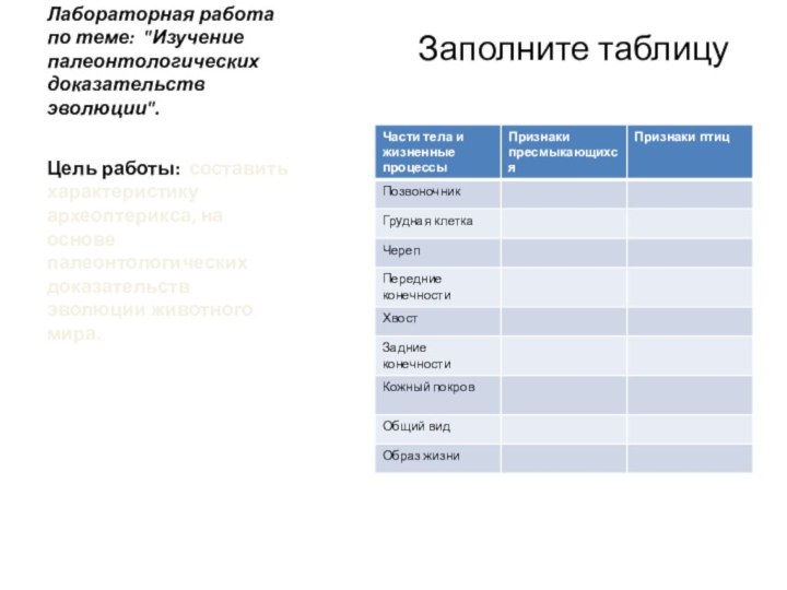 Лабораторная работа по теме: 