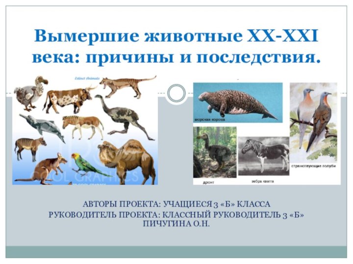 Авторы проекта: УЧАЩИЕСЯ 3 «б» КЛАССАРуководитель проекта: классный руководитель 3 «Б» Пичугина