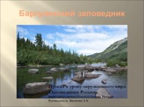 Презентация по окружающему миру на тему Заповедники России. Баргузинский заповедник. 4 класс