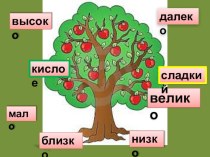 Урок русского языка в 3 классе Тема: Антонимы