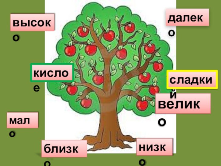 высоконизкодалекоблизкомаловеликокислоесладкий