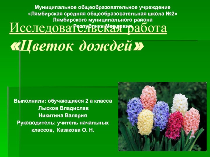 Исследовательская работа «Цветок дождей»  Выполнили: обучающиеся 2 а класса Лысков ВладиславНикитина