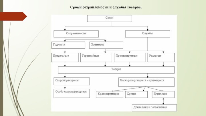 Сроки сохраняемости и службы товаров.