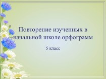 Презентация Повторение изученных в начальной школе орфограмм