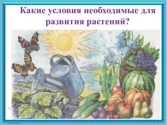 Презентация по окружающему миру для подготовительной группы Зачем растению нужны корни, стебель и листья