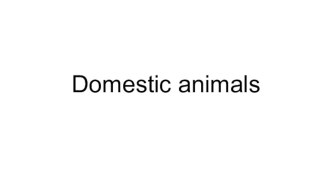 Презентация по английскому языку Domestic animals