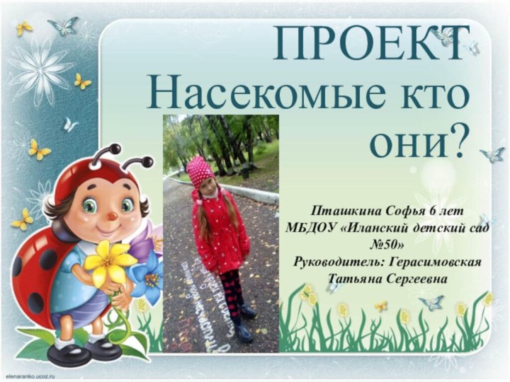 ПРОЕКТ Насекомые кто они?Пташкина Софья 6 летМБДОУ «Иланский детский сад №50»Руководитель: Герасимовская Татьяна Сергеевна