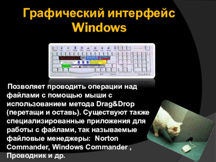 Графический интерфейс Windows   Позволяет проводить операции над файлами с помощью