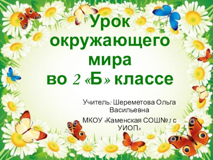 Урок окружающего мира  во 2 «Б» классеУчитель: Шереметова Ольга ВасильевнаМКОУ «Каменская СОШ№1 с УИОП»