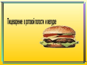 Презентация по биологии Пищеварение в ротовой полости и желудке