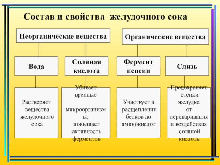 Состав и свойства желудочного сокаНеорганические веществаОрганические веществаВодаСоляная кислотаФерментпепсинСлизьРастворяет вещества желудочного сока Убивает