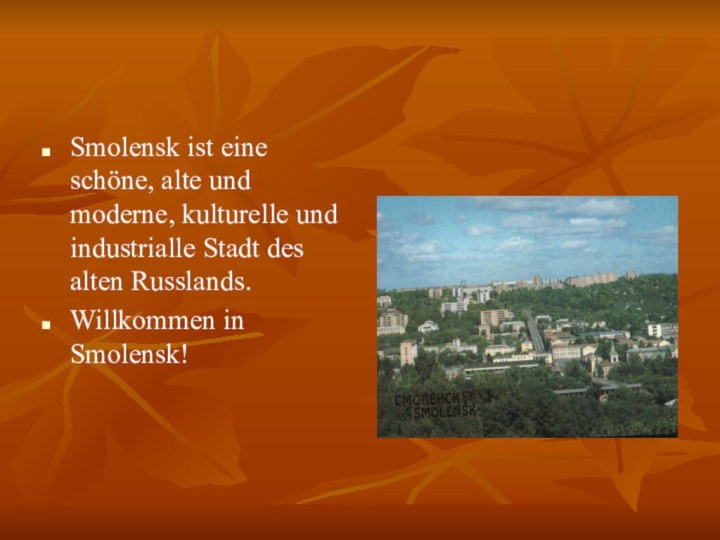 Smolensk ist eine schöne, alte und moderne, kulturelle und industrialle Stadt des alten Russlands.Willkommen in Smolensk!