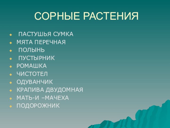 СОРНЫЕ РАСТЕНИЯ ПАСТУШЬЯ СУМКАМЯТА ПЕРЕЧНАЯ ПОЛЫНЬ ПУСТЫРНИКРОМАШКАЧИСТОТЕЛОДУВАНЧИККРАПИВА ДВУДОМНАЯМАТЬ-И –МАЧЕХА ПОДОРОЖНИК