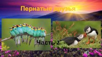 Презентация по теме:Наши пернатые(7 класс) - 2 часть