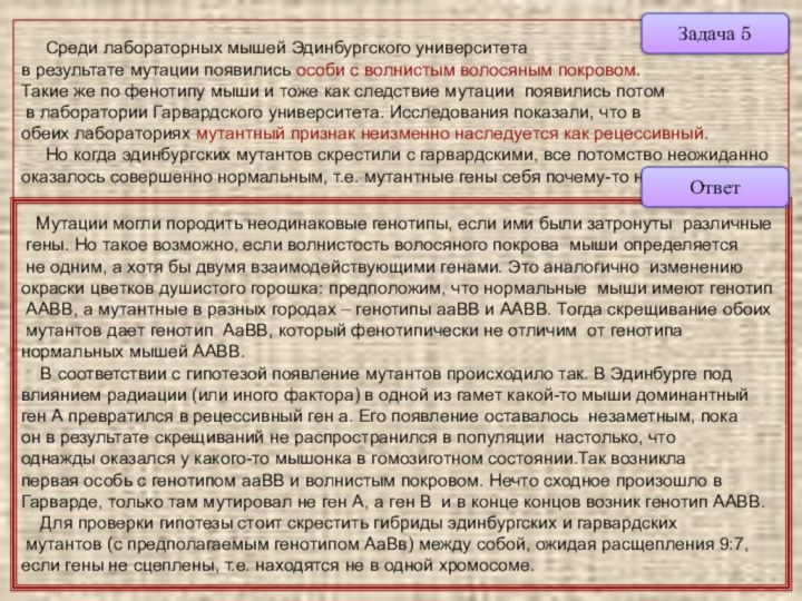 Среди лабораторных мышей Эдинбургского университета в результате мутации появились