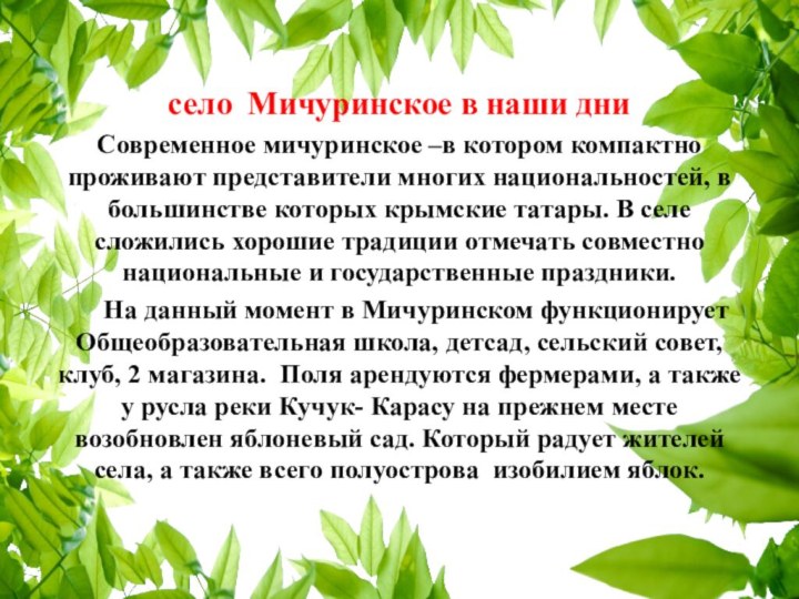 село Мичуринское в наши дни Современное мичуринское –в котором компактно проживают представители