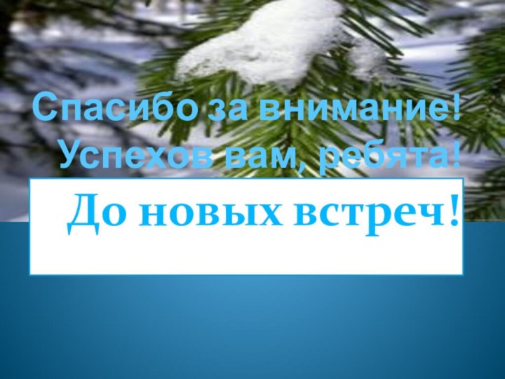 Спасибо за внимание! Успехов вам, ребята!До новых встреч!