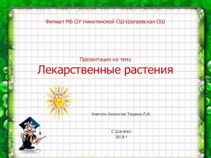 Филиал МБ ОУ Никитинской СШ-Шагаевская ОШ      Презентация