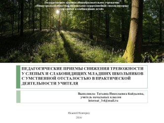 ПЕДАГОГИЧЕСКИЕ ПРИЕМЫ СНИЖЕНИЯ ТРЕВОЖНОСТИ У СЛЕПЫХ И СЛАБОВИДЯЩИХ МЛАДШИХ ШКОЛЬНИКОВ С УМСТВЕННОЙ ОТСТАЛОСТЬЮ В ПРАКТИЧЕСКОЙ ДЕЯТЕЛЬНОСТИ УЧИТЕЛЯ 