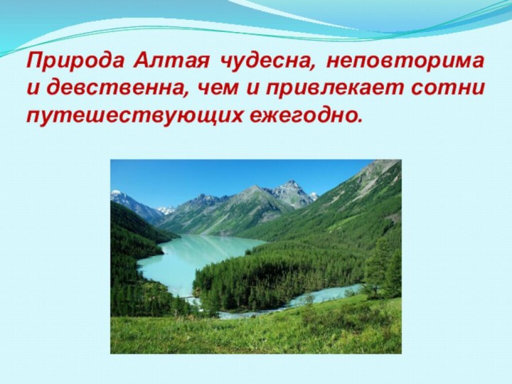 Природа Алтая чудесна, неповторима и девственна, чем и привлекает сотни путешествующих ежегодно.