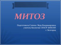 Презентация по биологии на тему Митоз (10 класс)