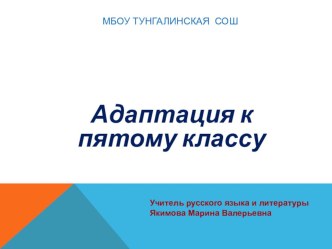 Презентация к педагогическому совету на тему Адаптация в 5 классе