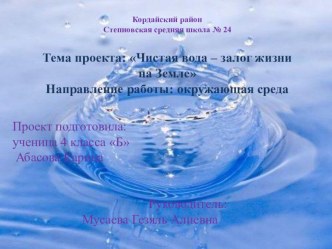 Презентация Проектная работа на тему  Чистая вода - залог жизни на Земле