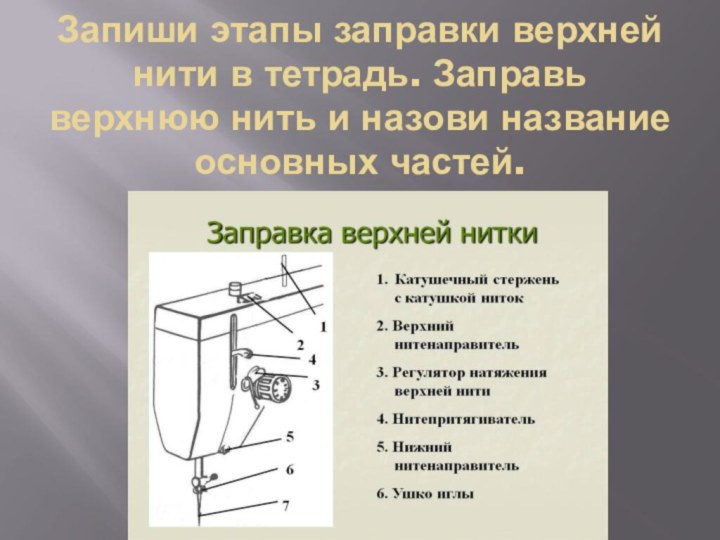 Запиши этапы заправки верхней нити в тетрадь. Заправь верхнюю нить и назови название основных частей.