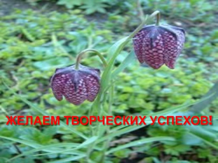 ЖЕЛАЕМ ТВОРЧЕСКИХ УСПЕХОВ!