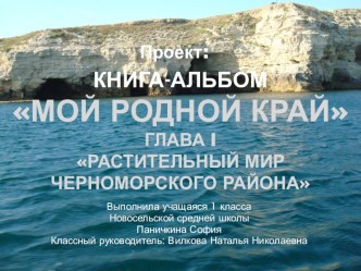 Презентация проекта Мой родной край