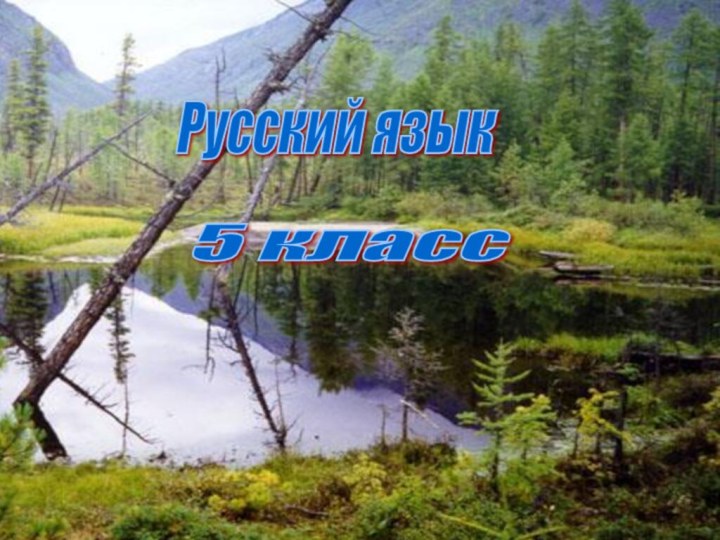 Русский язык 5 класс