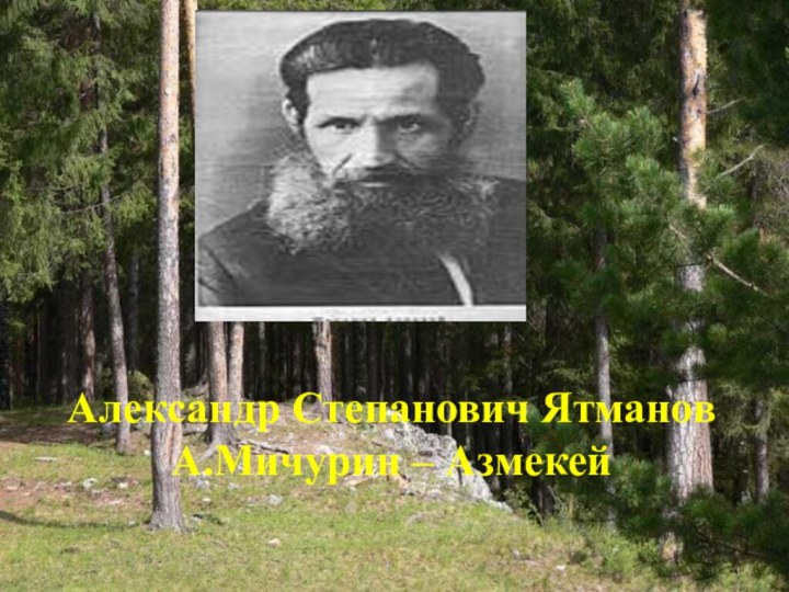 Александр Степанович Ятманов А.Мичурин – Азмекей