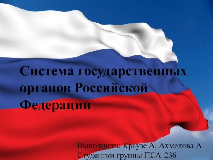 Система государственных органов Российской ФедерацииВыполнили: Краузе А, Ахмедова АСтудентки группы ПСА-236