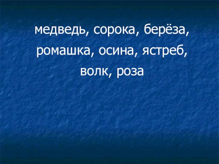 медведь, сорока, берёза, ромашка, осина, ястреб, волк, роза