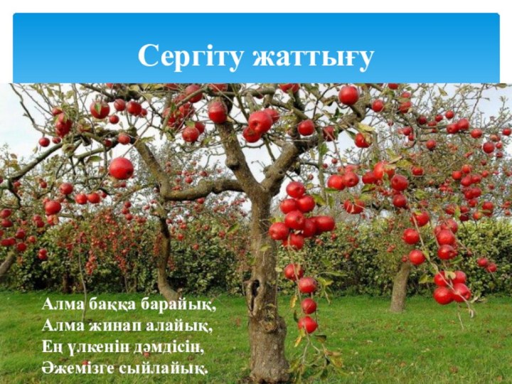 Сергіту жаттығуАлма баққа барайық,Алма жинап алайық,Ең үлкенін дәмдісін,Әжемізге сыйлайық.