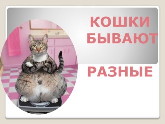 Презентация к уроку литературы по рассказам А. Яшина о кошках в 7 классе.