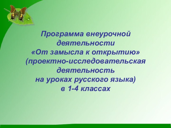 Программа внеурочной деятельности  «От замысла к открытию»