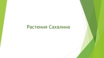 Презентация к занятию по НРК Растения Сахалина