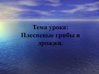 Презентация по биологии на тему плесневелые грибы и дрожжи