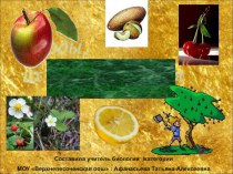 Презентация по биологии на темуСухие плоды (6 класс)